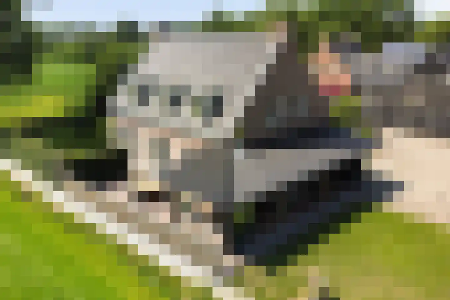 Poelweg 36 Ederveen thumbnail 47