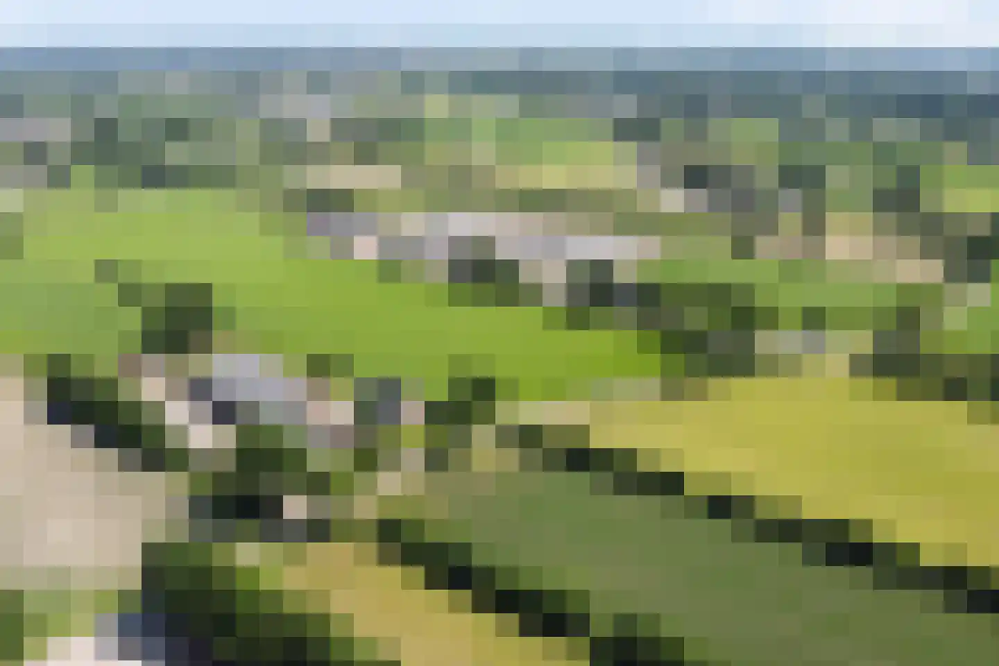Poelweg 36 Ederveen thumbnail 5
