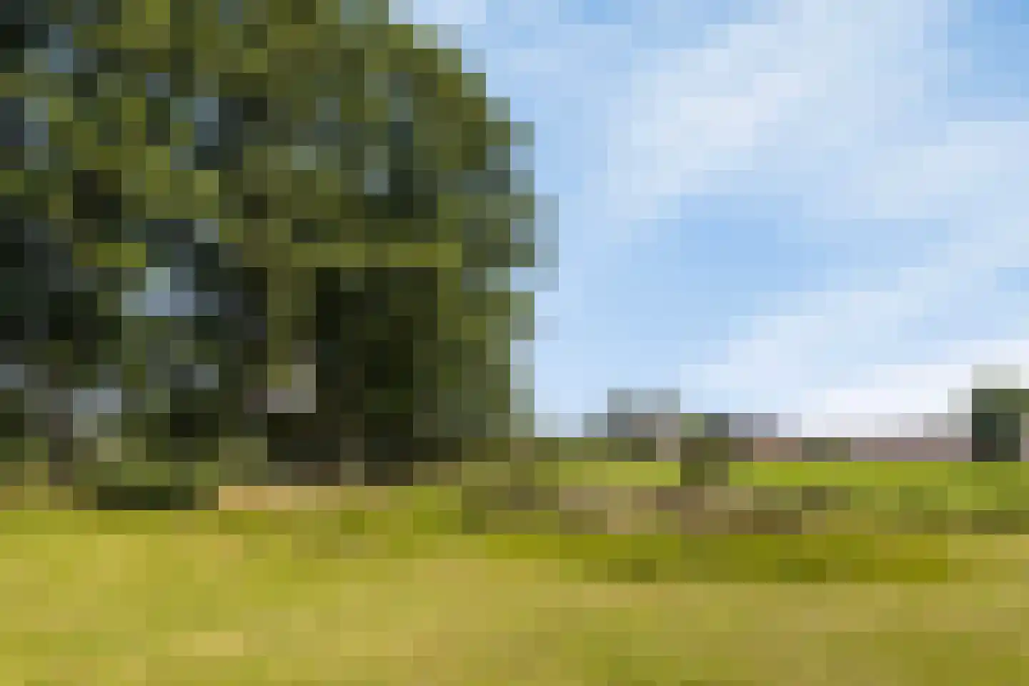 Poelweg 36 Ederveen thumbnail 57