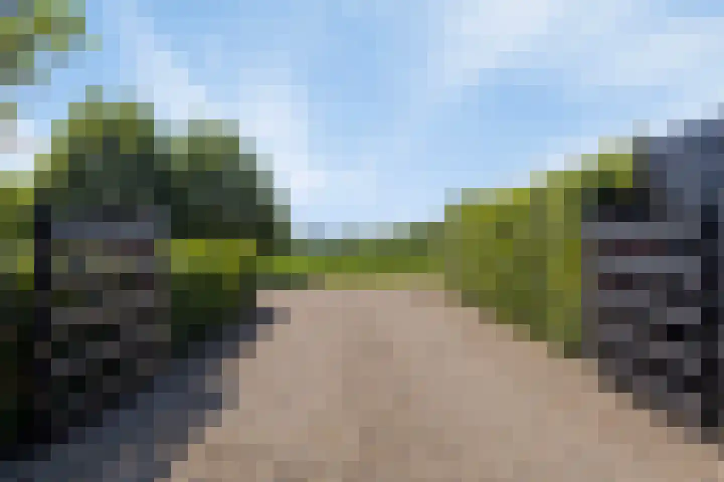 Poelweg 36 Ederveen thumbnail 58