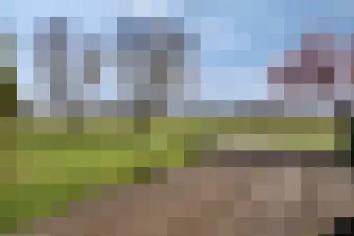 Poelweg 46 Vaassen thumbnail 20