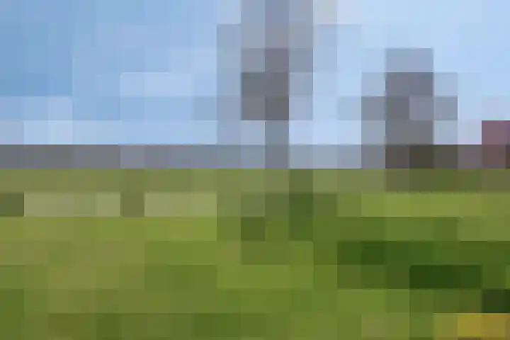 Poelweg 46 Vaassen thumbnail 21