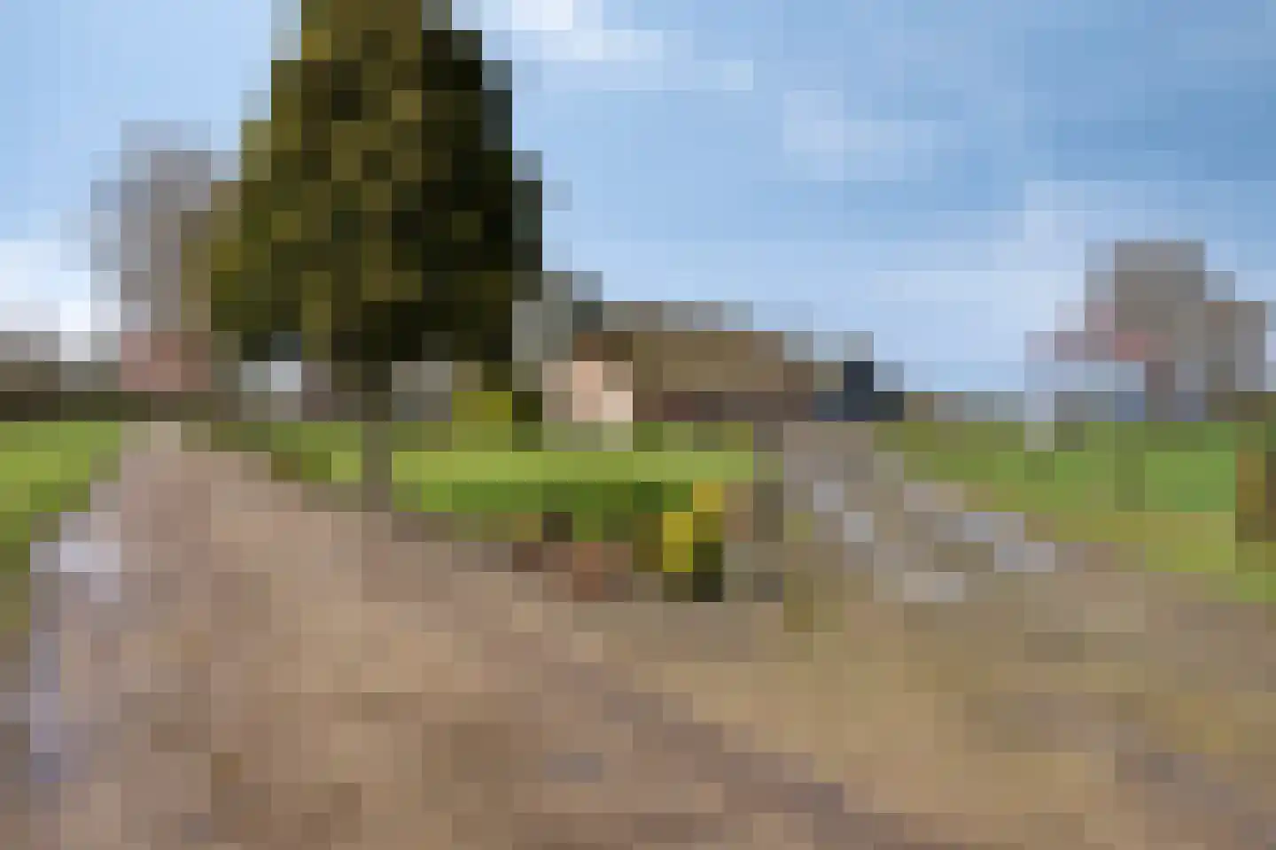 Poelweg 46 Vaassen thumbnail 25