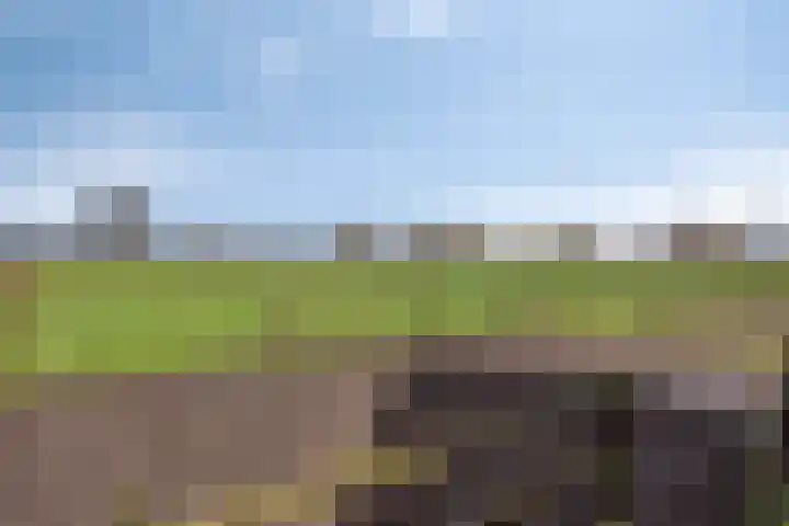 Poelweg 46 Vaassen thumbnail 31