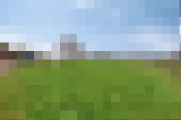 Poelweg 46 Vaassen thumbnail 32