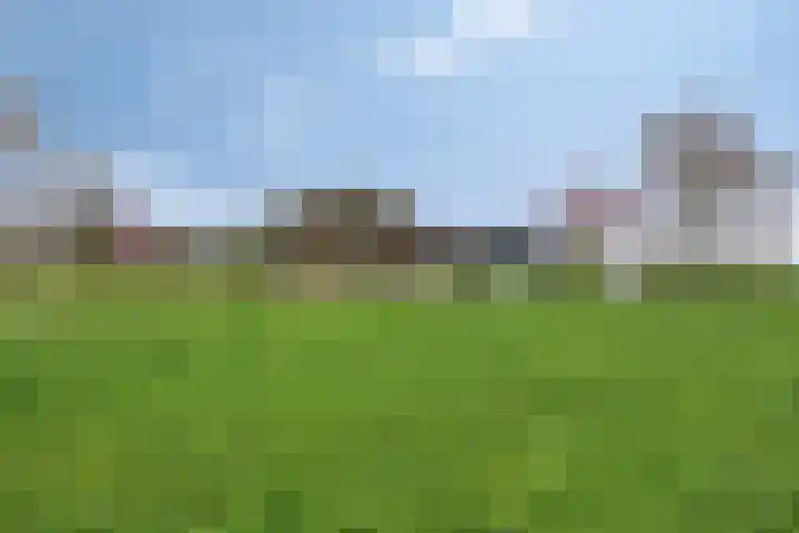 Poelweg 46 Vaassen thumbnail 33