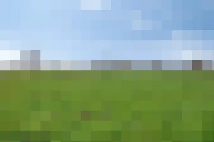 Poelweg 46 Vaassen thumbnail 36