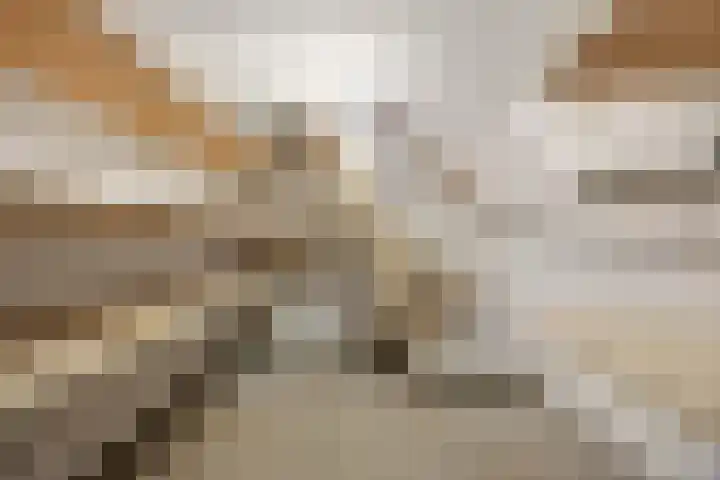 Poemastraat 5 Nijmegen thumbnail 24