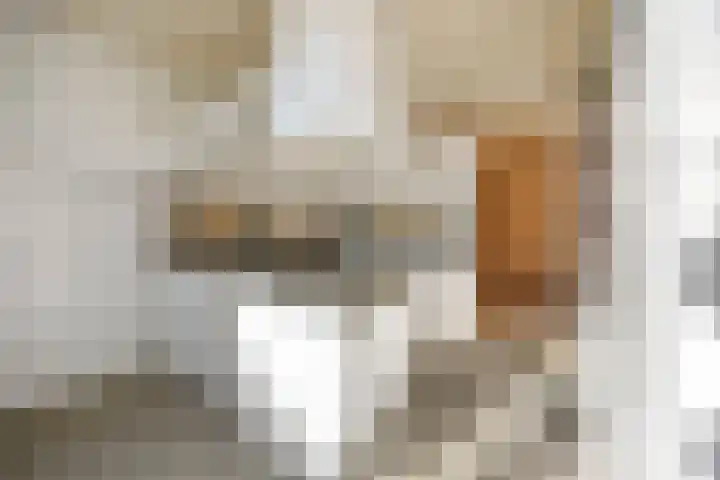 Poemastraat 5 Nijmegen thumbnail 7