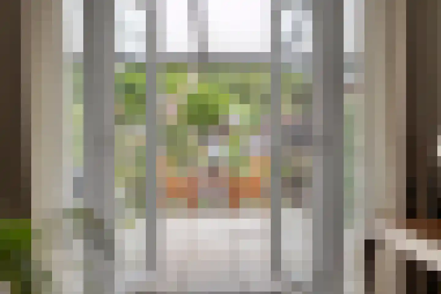 Poetengraadshof 14 Haaksbergen thumbnail 10