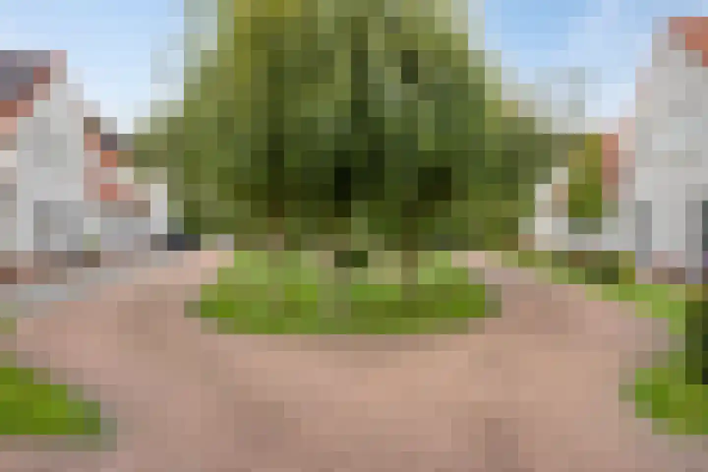 Poetengraadshof 14 Haaksbergen thumbnail 33