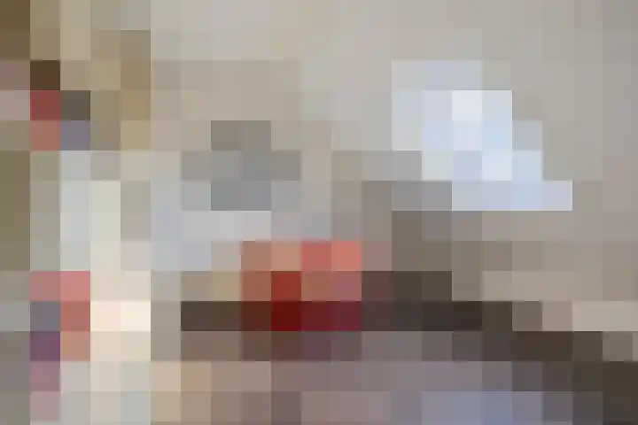 Poetengraadshof 16 Haaksbergen thumbnail 29