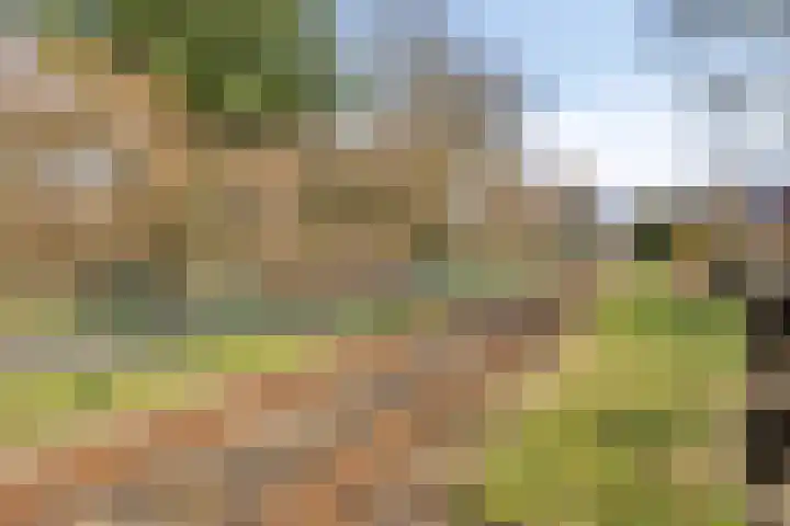 Poetengraadshof 16 Haaksbergen thumbnail 41
