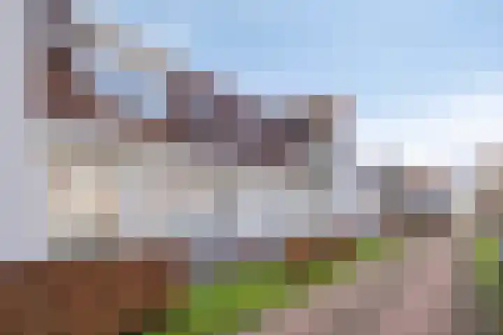 Poetengraadshof 16 Haaksbergen thumbnail 6