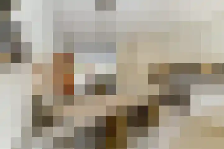 Poëzieplantsoen 3 Gorinchem thumbnail 13