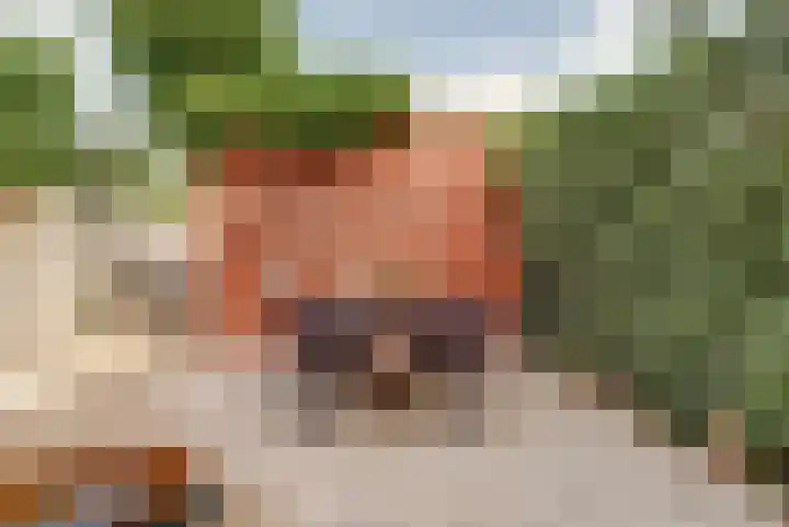 Poëzieplantsoen 3 Gorinchem thumbnail 43