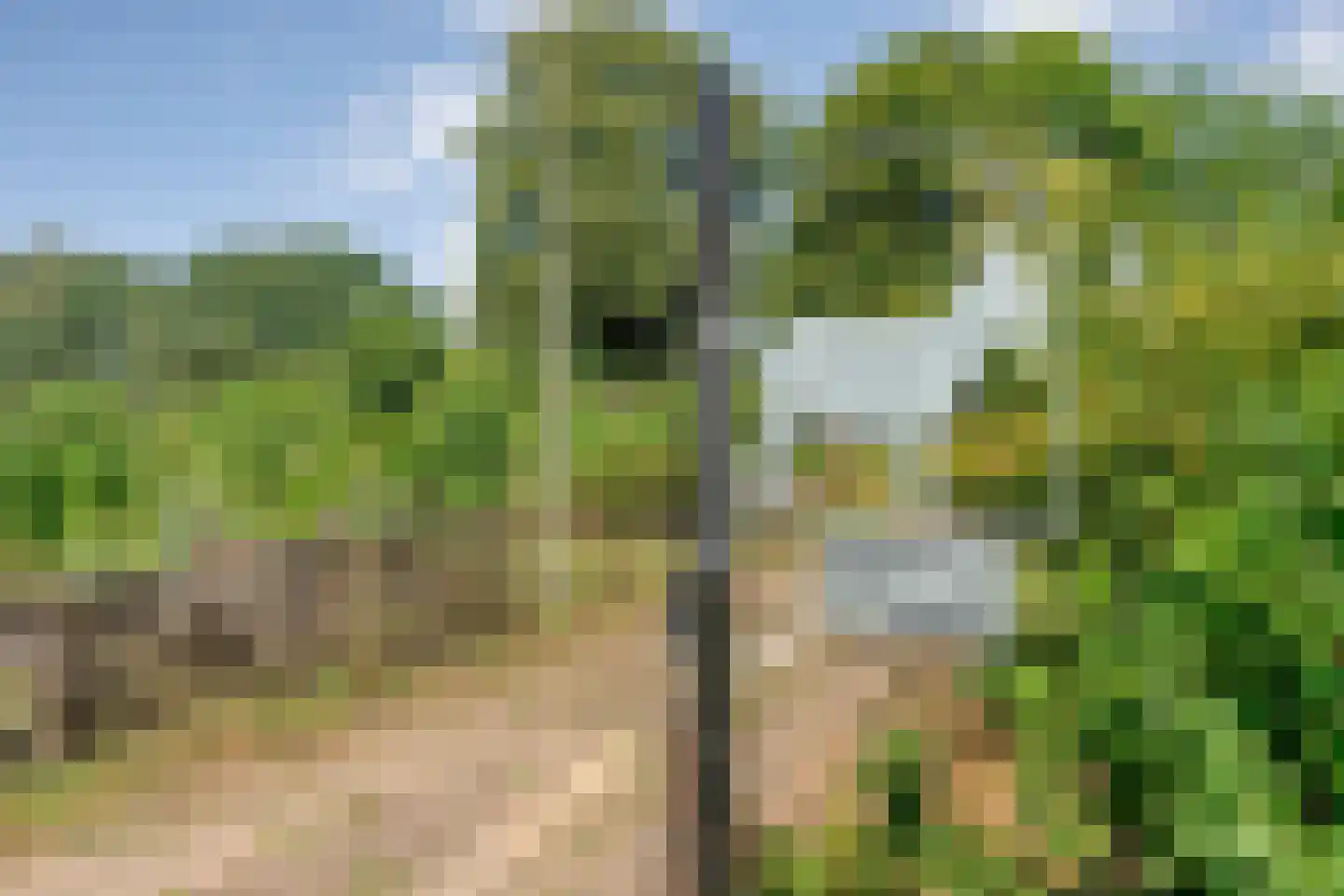 Poggebeltweg 7 Nieuw Heeten thumbnail 10