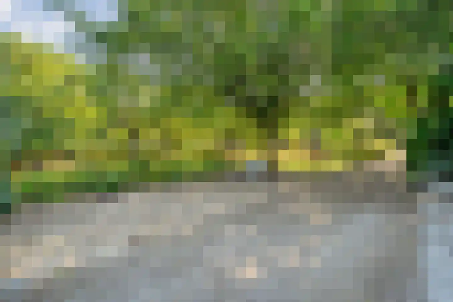 Poggebeltweg 7 Nieuw Heeten thumbnail 12