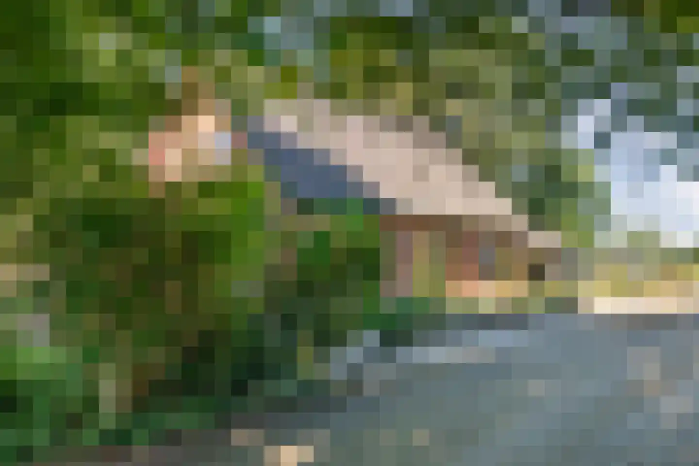 Poggebeltweg 7 Nieuw Heeten thumbnail 13