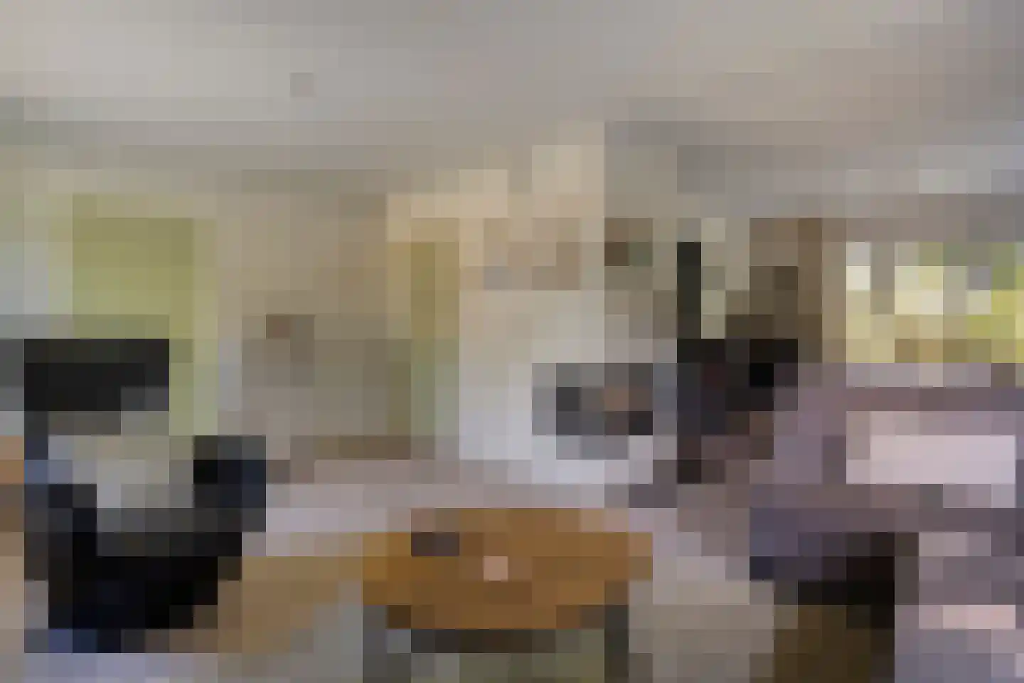 Poggebeltweg 7 Nieuw Heeten thumbnail 20