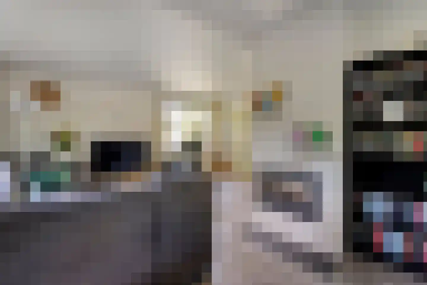 Poggebeltweg 7 Nieuw Heeten thumbnail 23