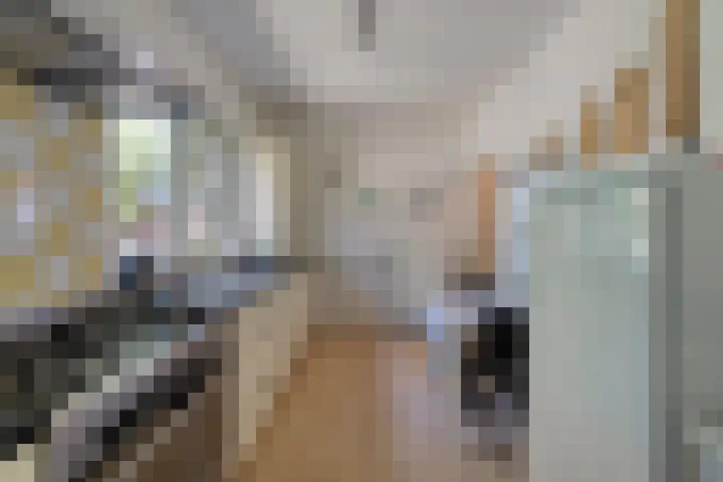 Poggebeltweg 7 Nieuw Heeten thumbnail 29