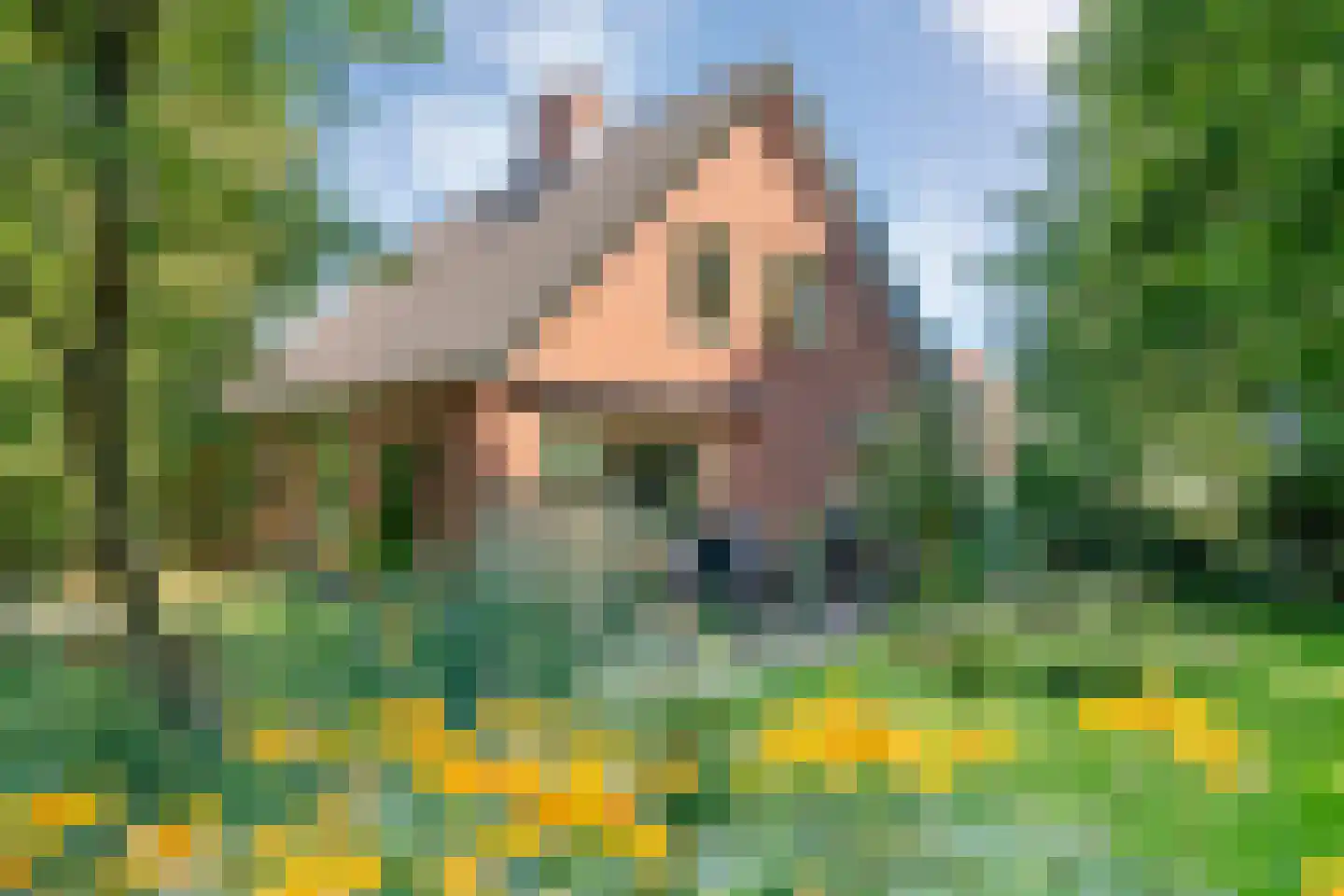 Poggebeltweg 7 Nieuw Heeten foto 3