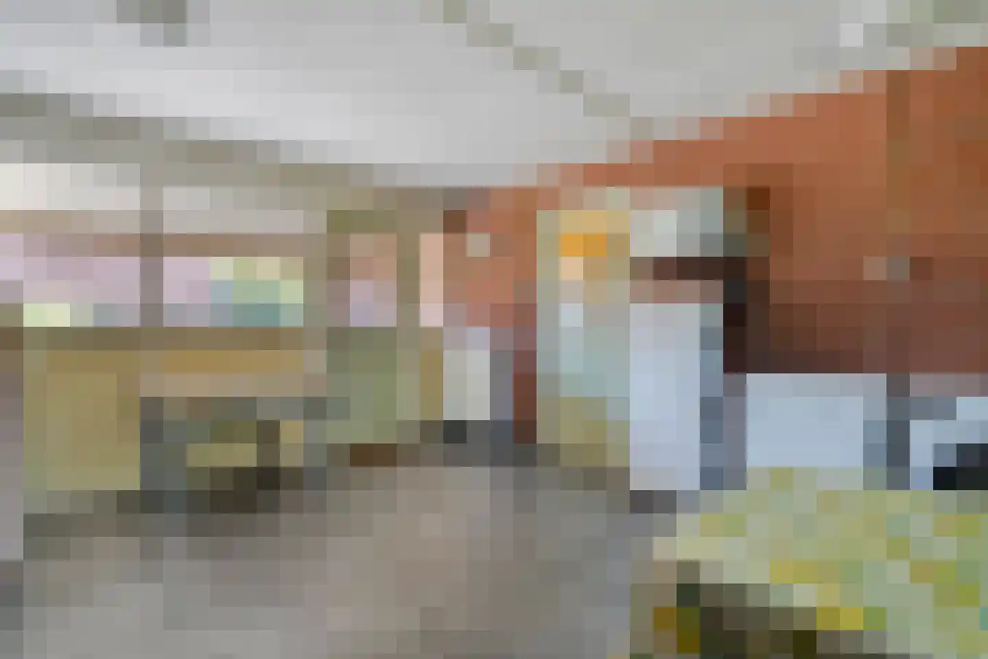 Poggebeltweg 7 Nieuw Heeten thumbnail 32