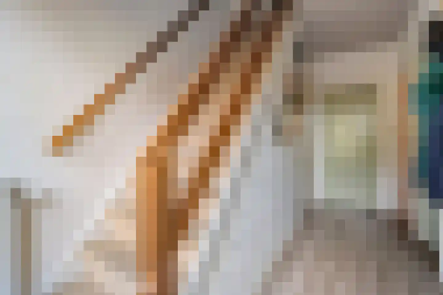 Poggebeltweg 7 Nieuw Heeten thumbnail 38