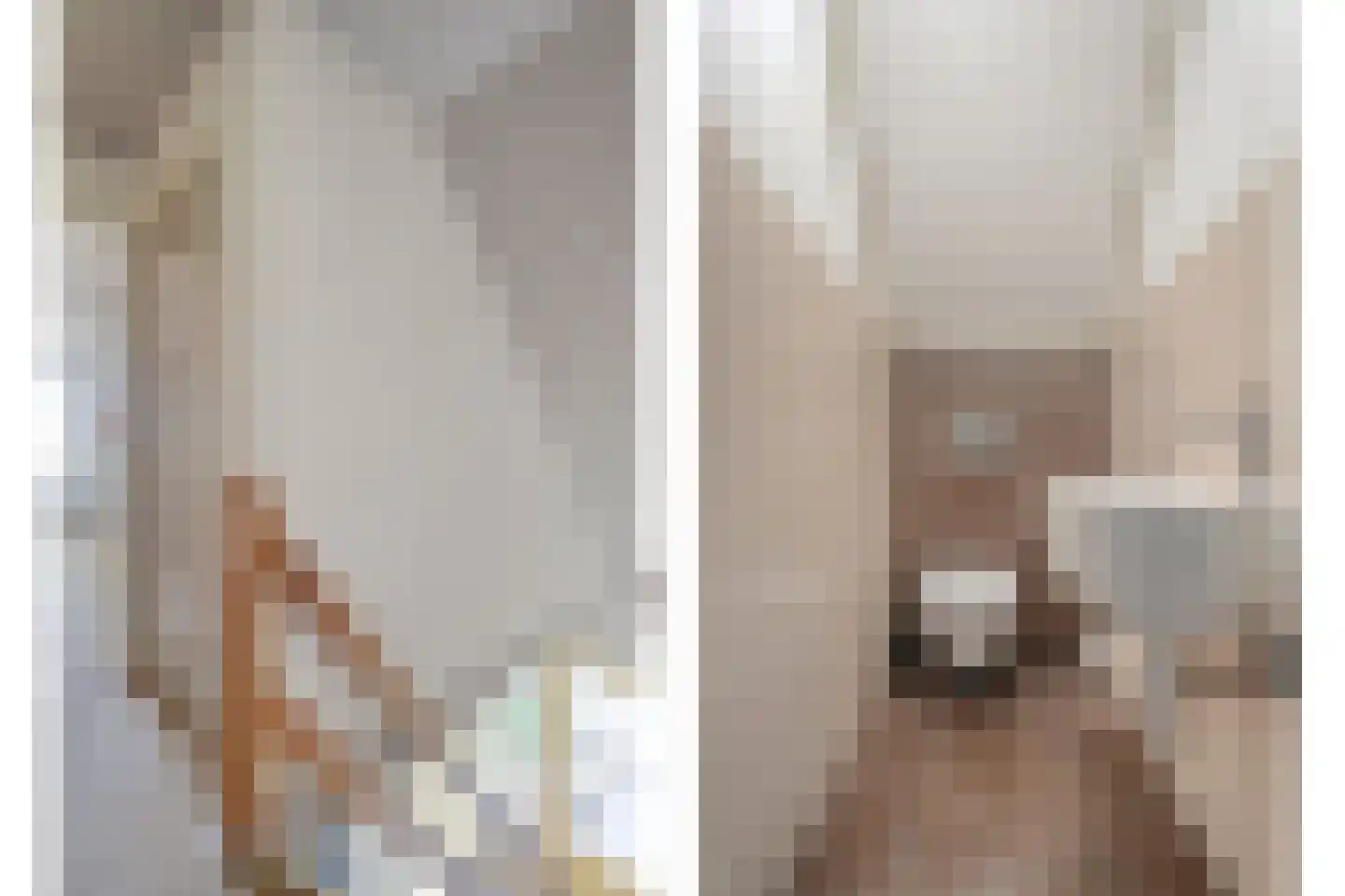 Poggebeltweg 7 Nieuw Heeten thumbnail 39
