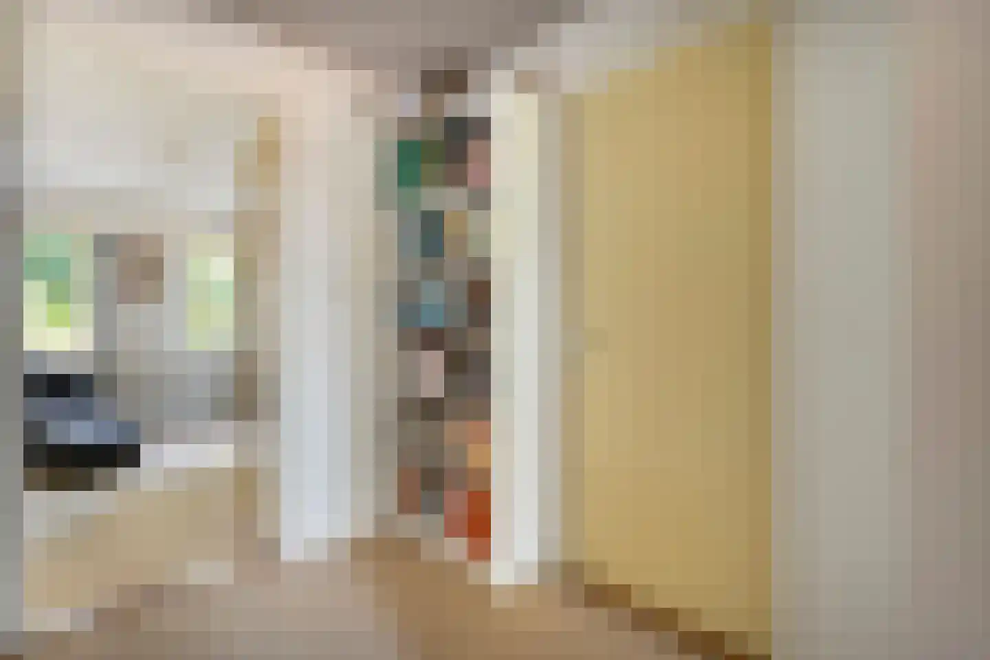 Poggebeltweg 7 Nieuw Heeten thumbnail 40