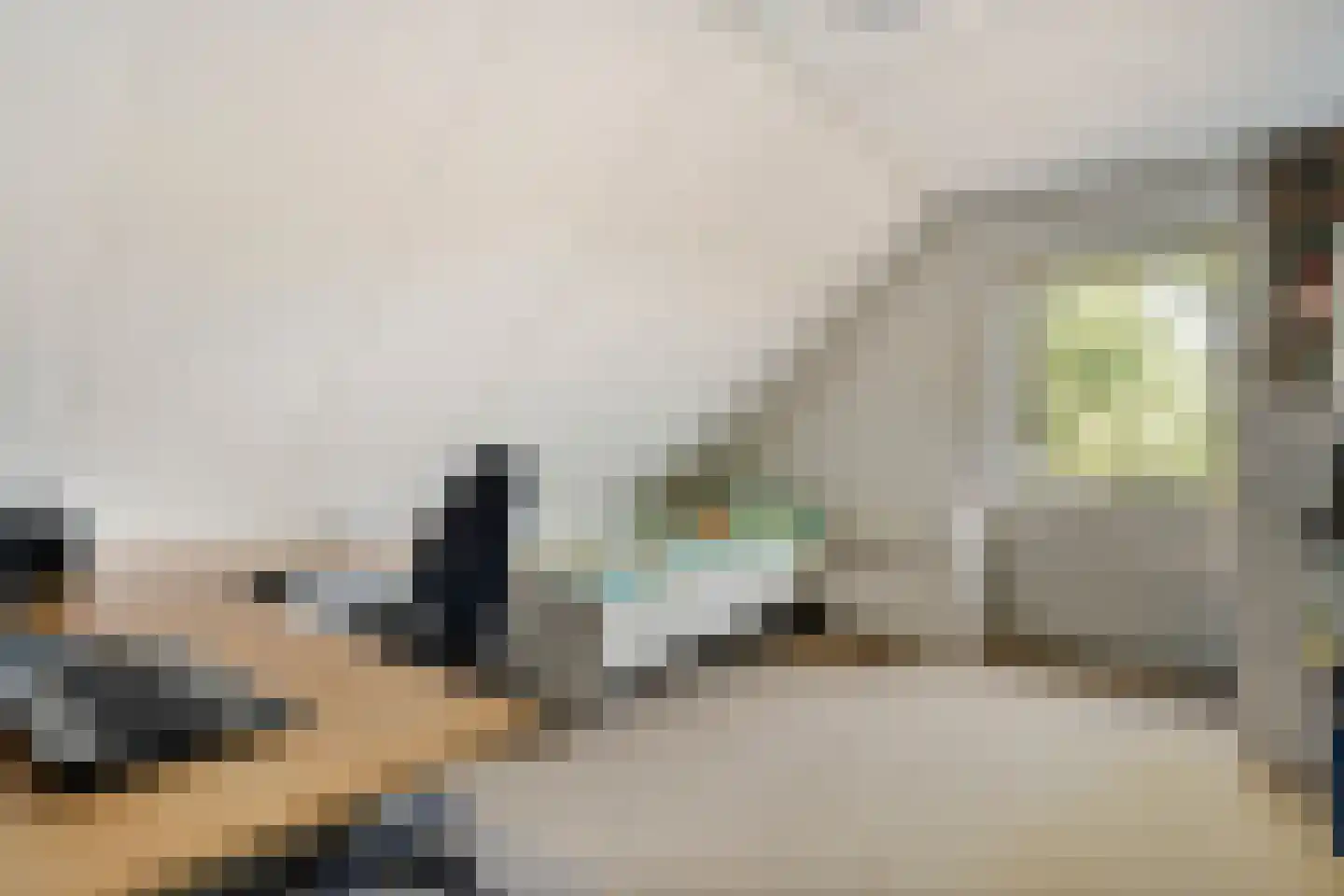 Poggebeltweg 7 Nieuw Heeten thumbnail 46