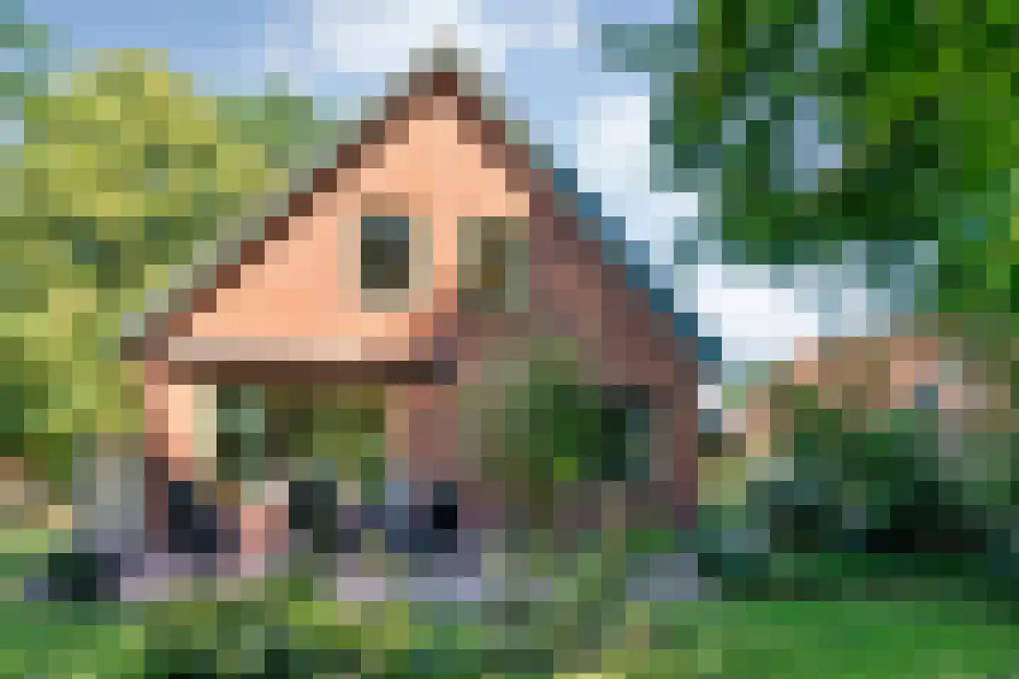 Poggebeltweg 7 Nieuw Heeten thumbnail 49