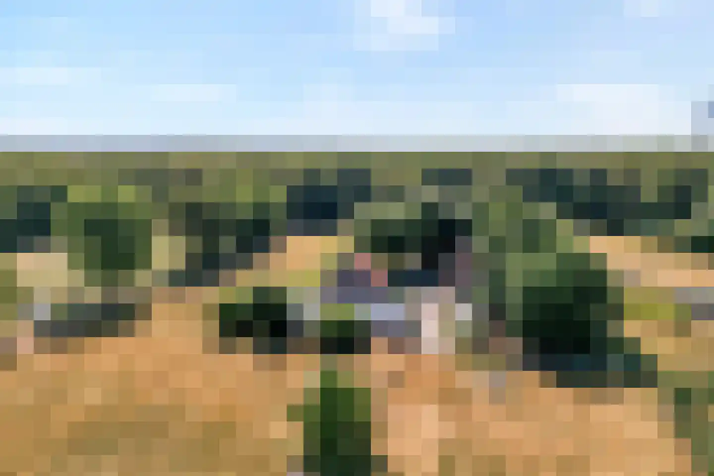 Poggebeltweg 7 Nieuw Heeten thumbnail 5