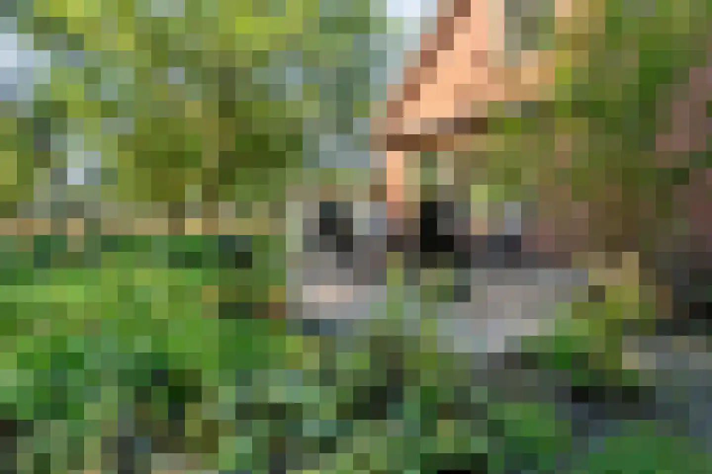 Poggebeltweg 7 Nieuw Heeten thumbnail 50