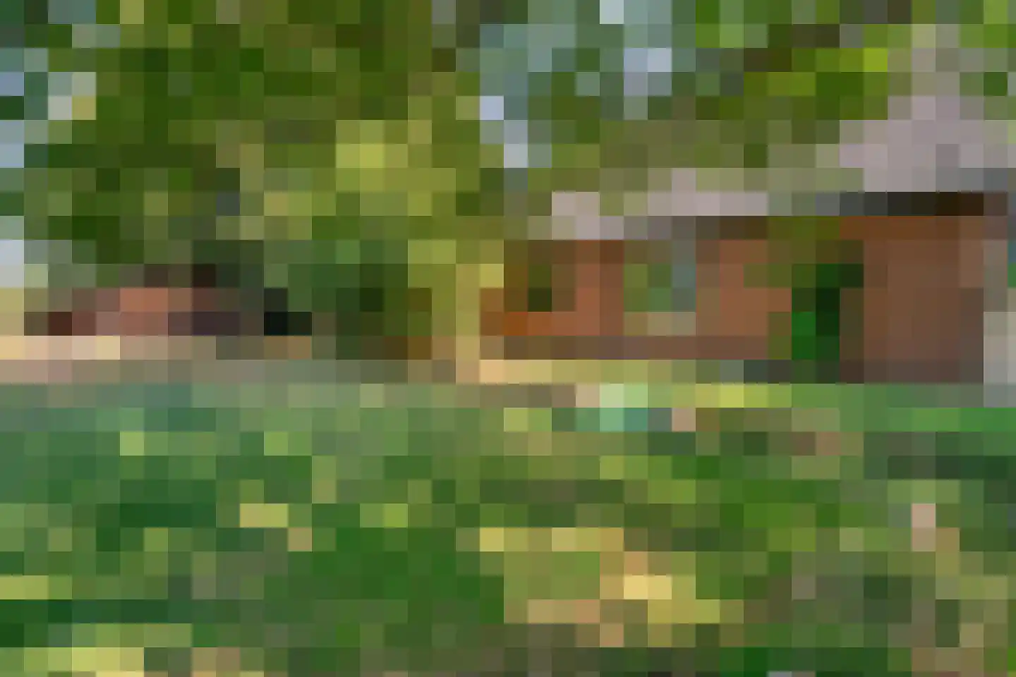 Poggebeltweg 7 Nieuw Heeten thumbnail 51