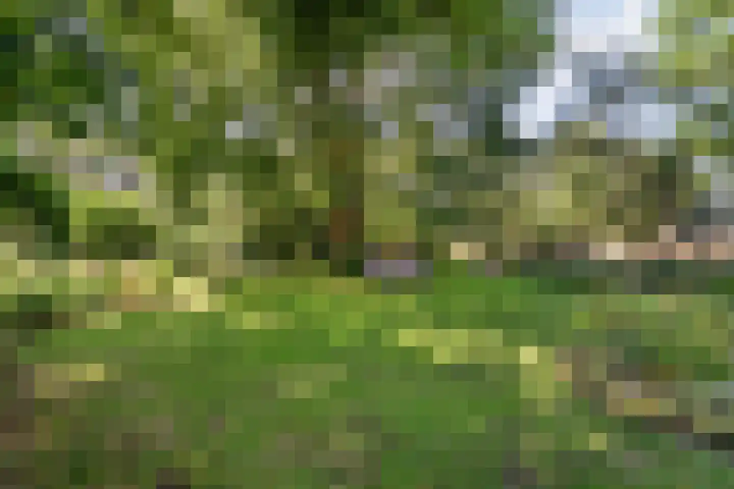 Poggebeltweg 7 Nieuw Heeten thumbnail 52