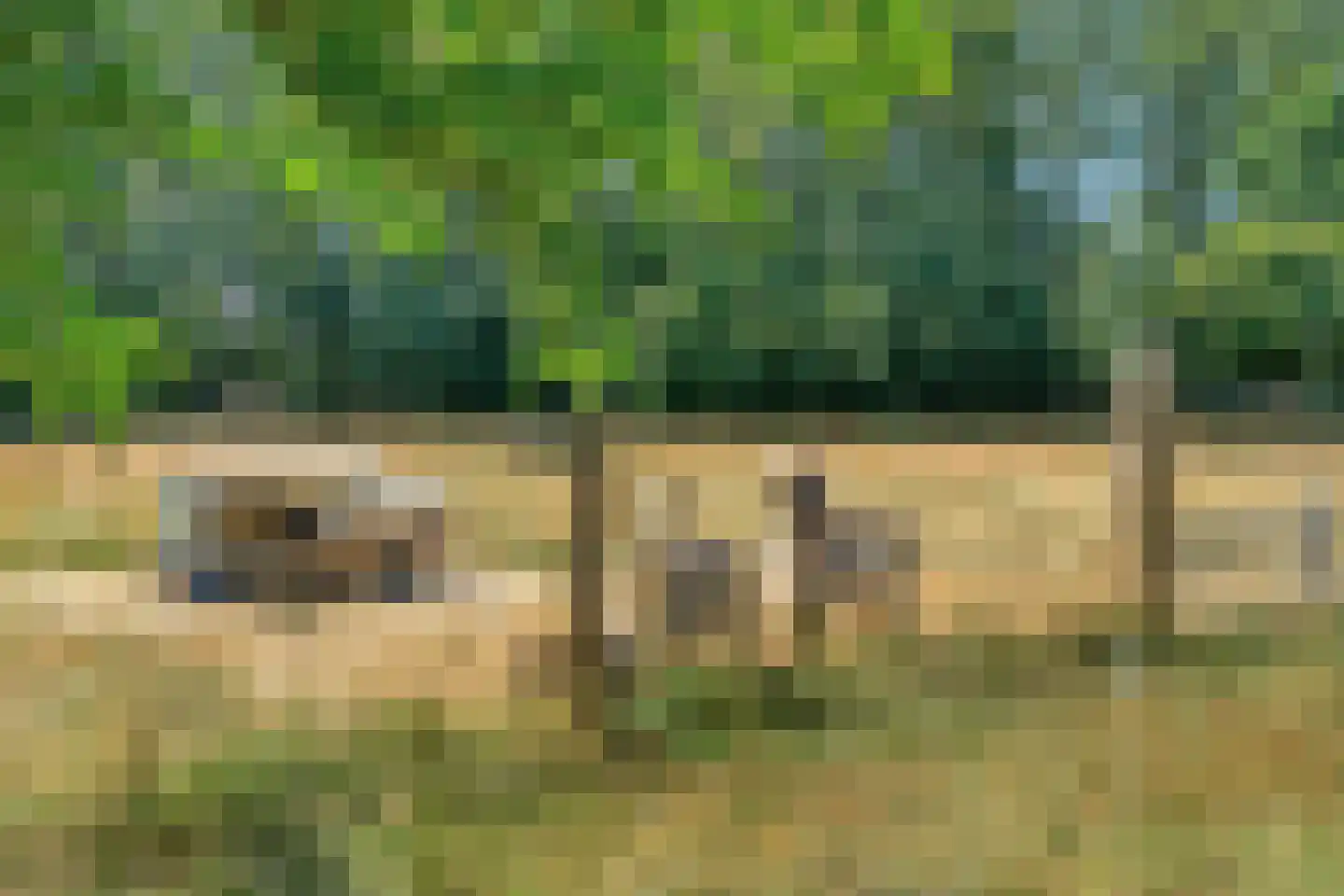 Poggebeltweg 7 Nieuw Heeten thumbnail 55