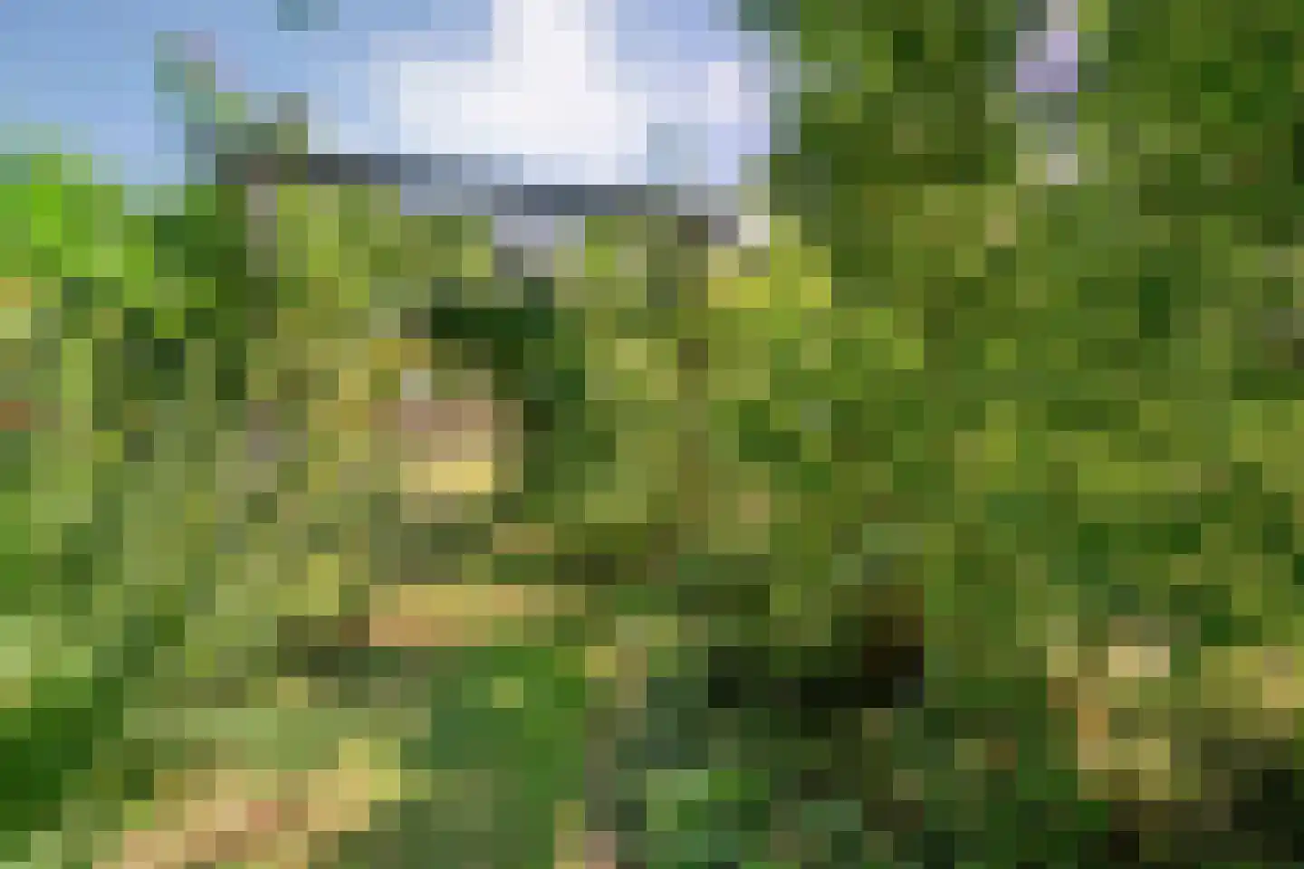 Poggebeltweg 7 Nieuw Heeten thumbnail 56