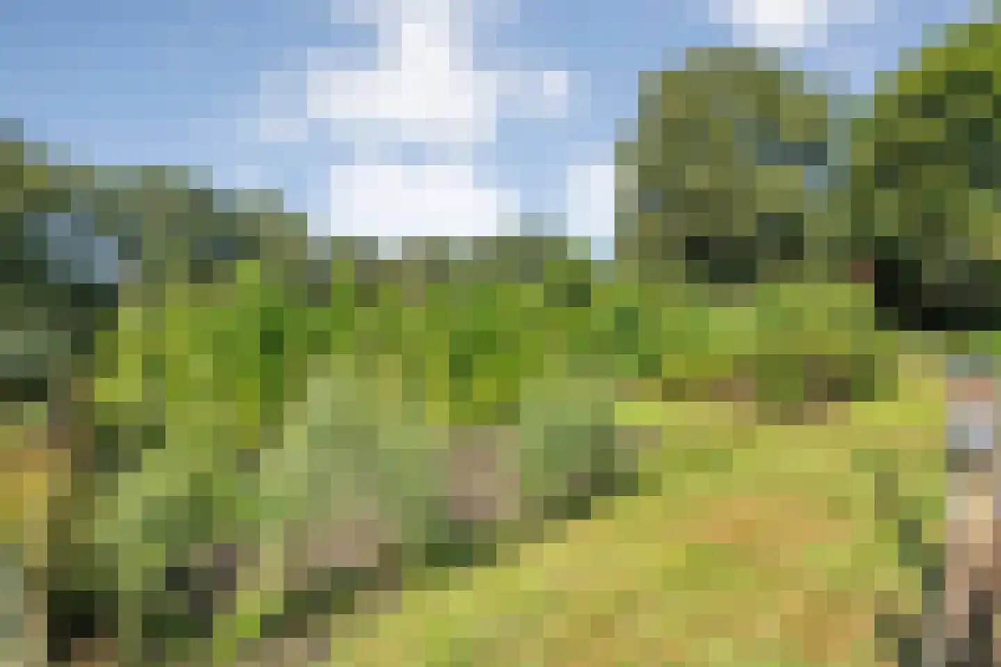 Poggebeltweg 7 Nieuw Heeten thumbnail 57