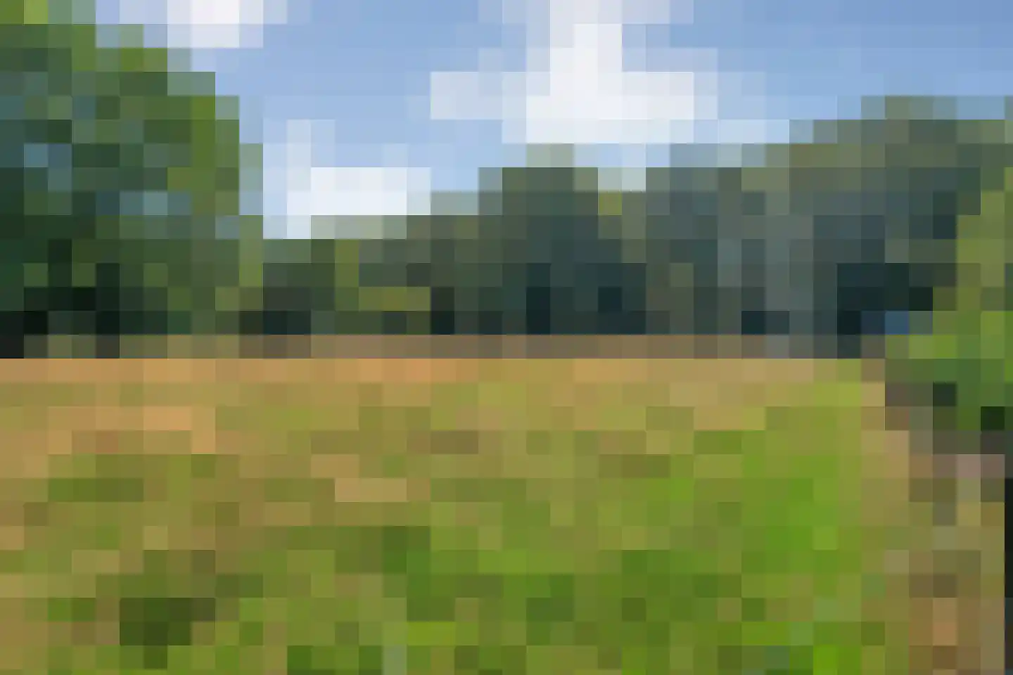 Poggebeltweg 7 Nieuw Heeten thumbnail 58