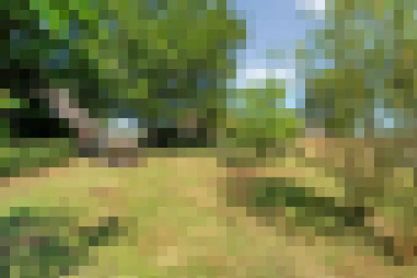 Poggebeltweg 7 Nieuw Heeten thumbnail 59
