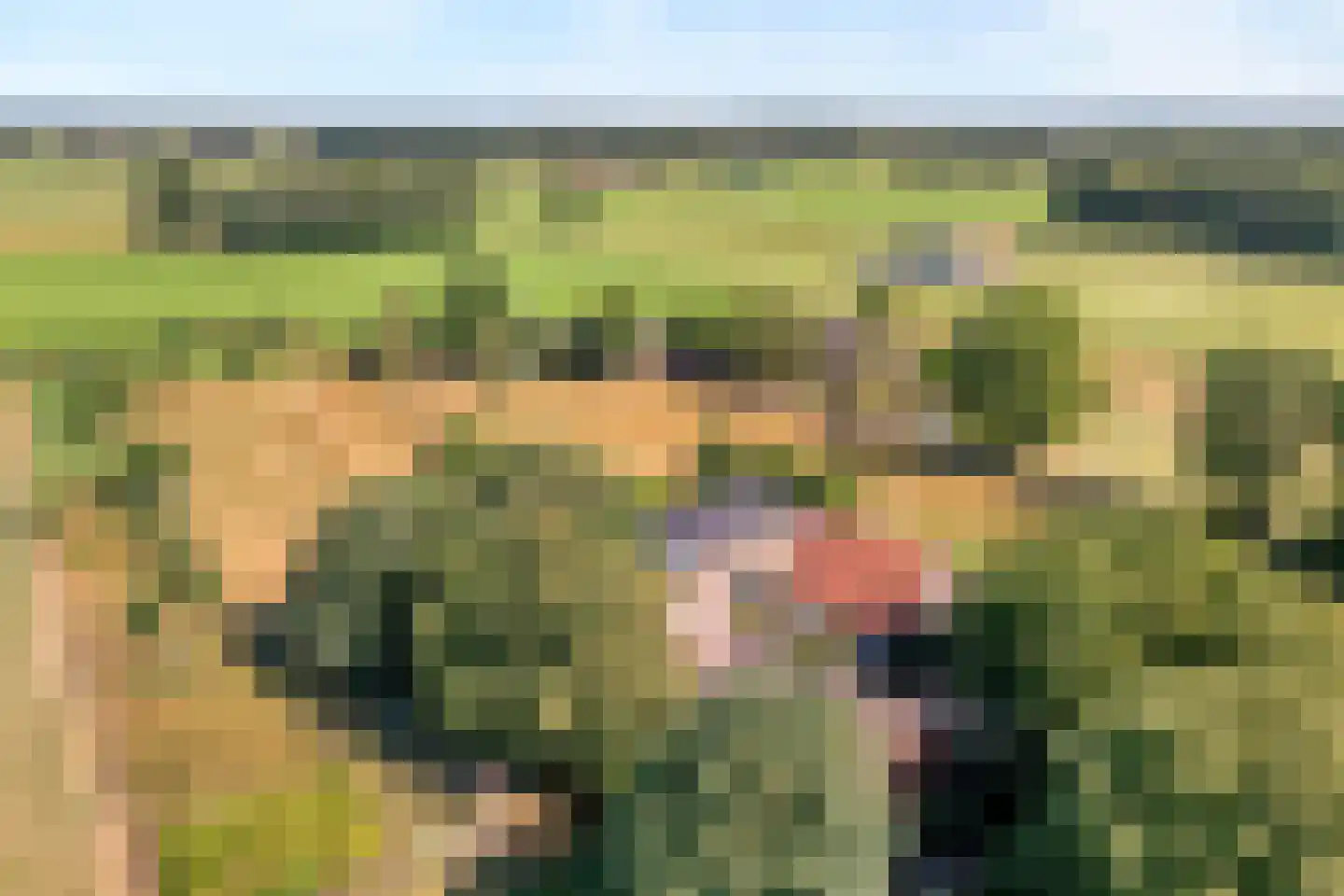 Poggebeltweg 7 Nieuw Heeten thumbnail 6