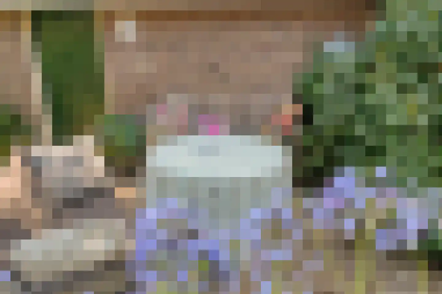 Poggebeltweg 7 Nieuw Heeten thumbnail 61
