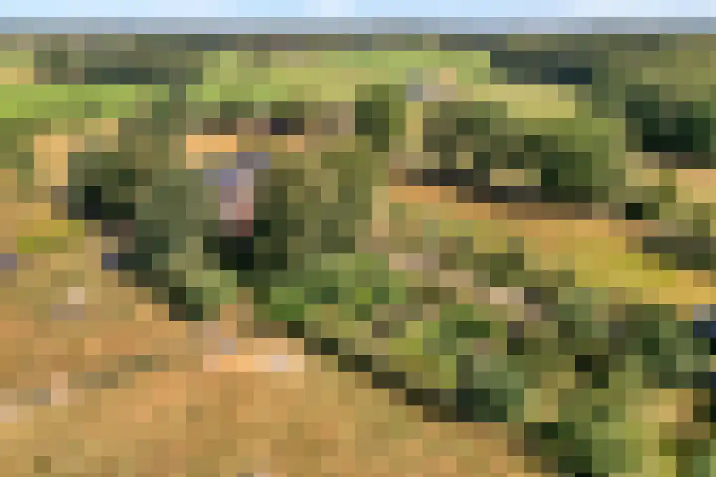 Poggebeltweg 7 Nieuw Heeten thumbnail 7