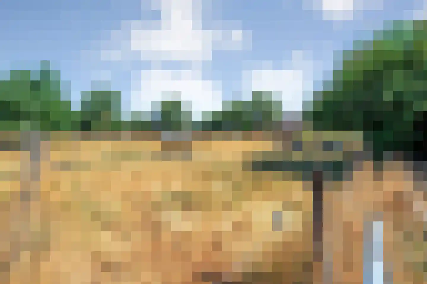 Poggebeltweg 7 Nieuw Heeten thumbnail 76