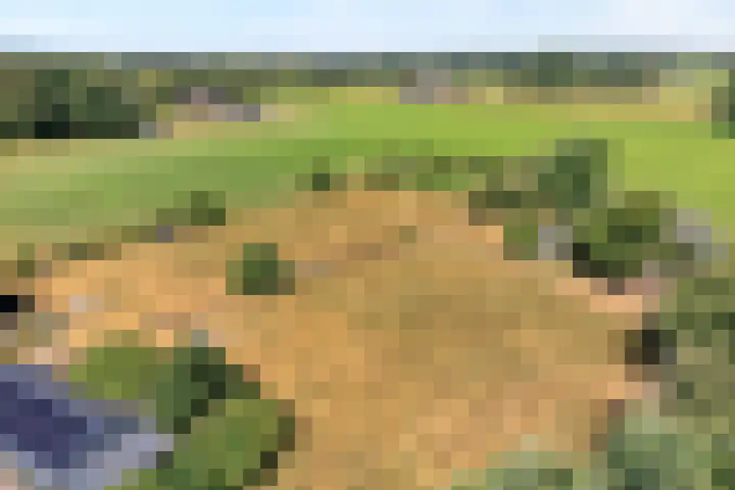 Poggebeltweg 7 Nieuw Heeten thumbnail 78