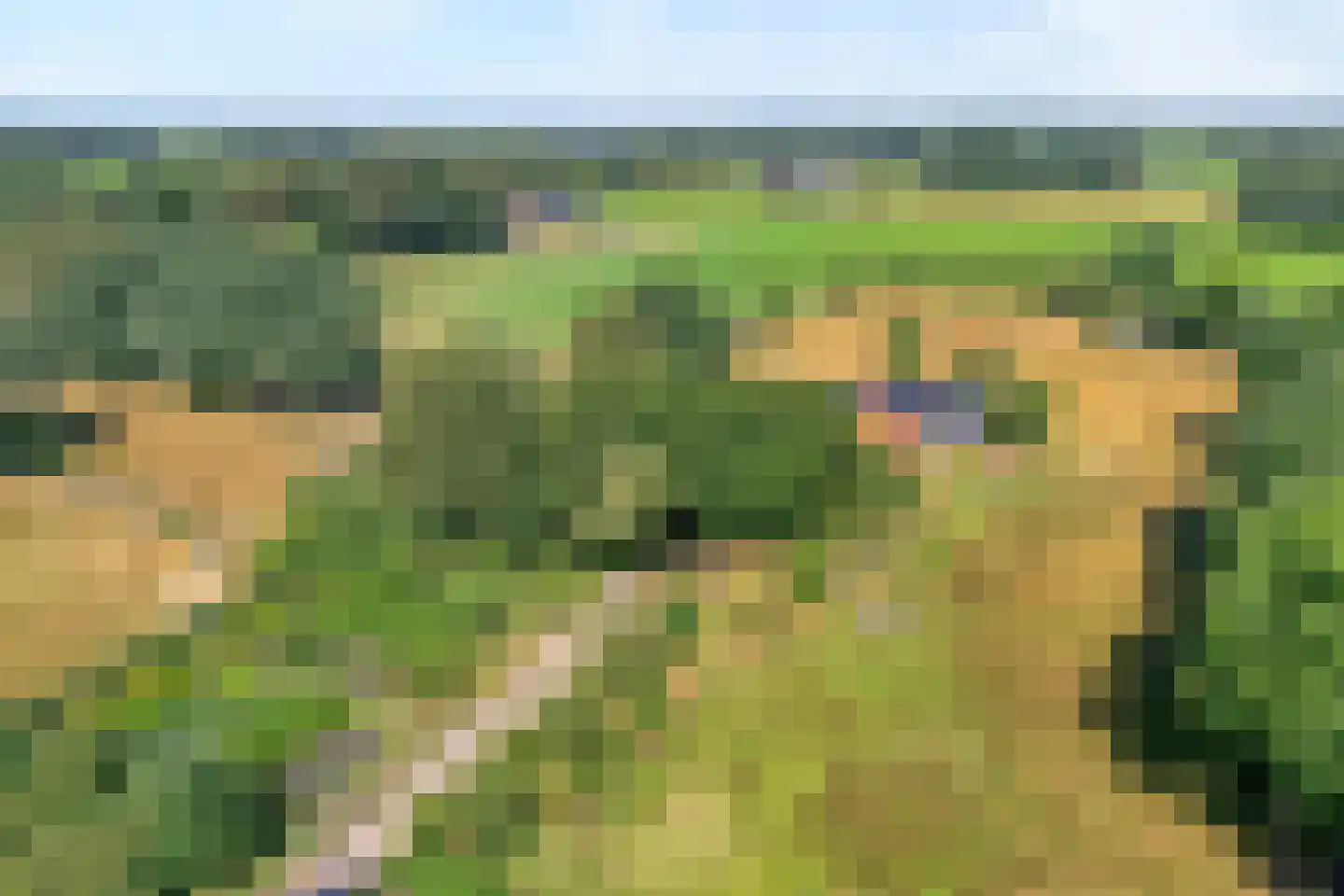 Poggebeltweg 7 Nieuw Heeten thumbnail 80