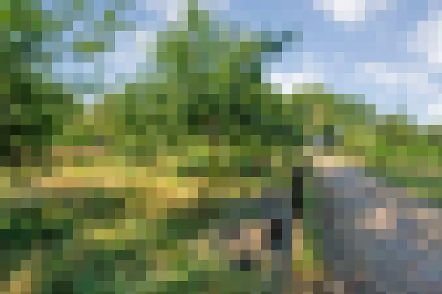Poggebeltweg 7 Nieuw Heeten thumbnail 9