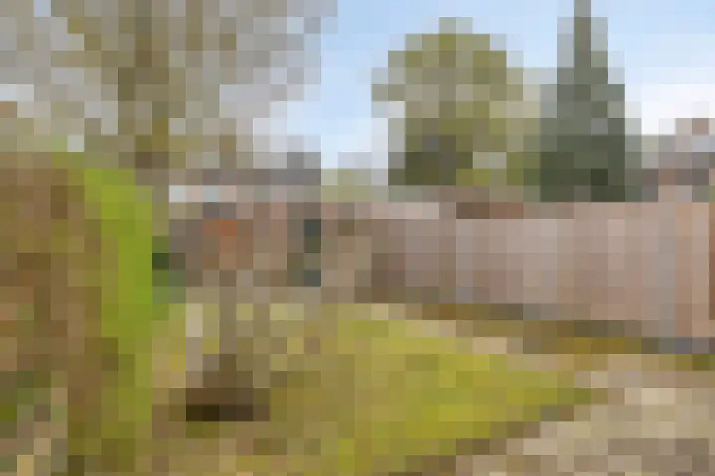 Poggenbeekstraat 25 Eindhoven thumbnail 25